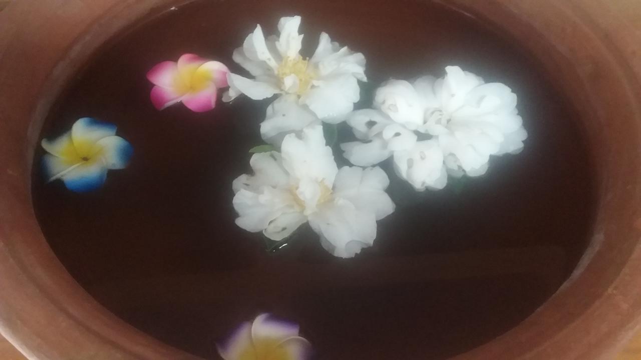 Ruan Thai Bed And Coffee Διαμέρισμα Χάμιλτον Εξωτερικό φωτογραφία